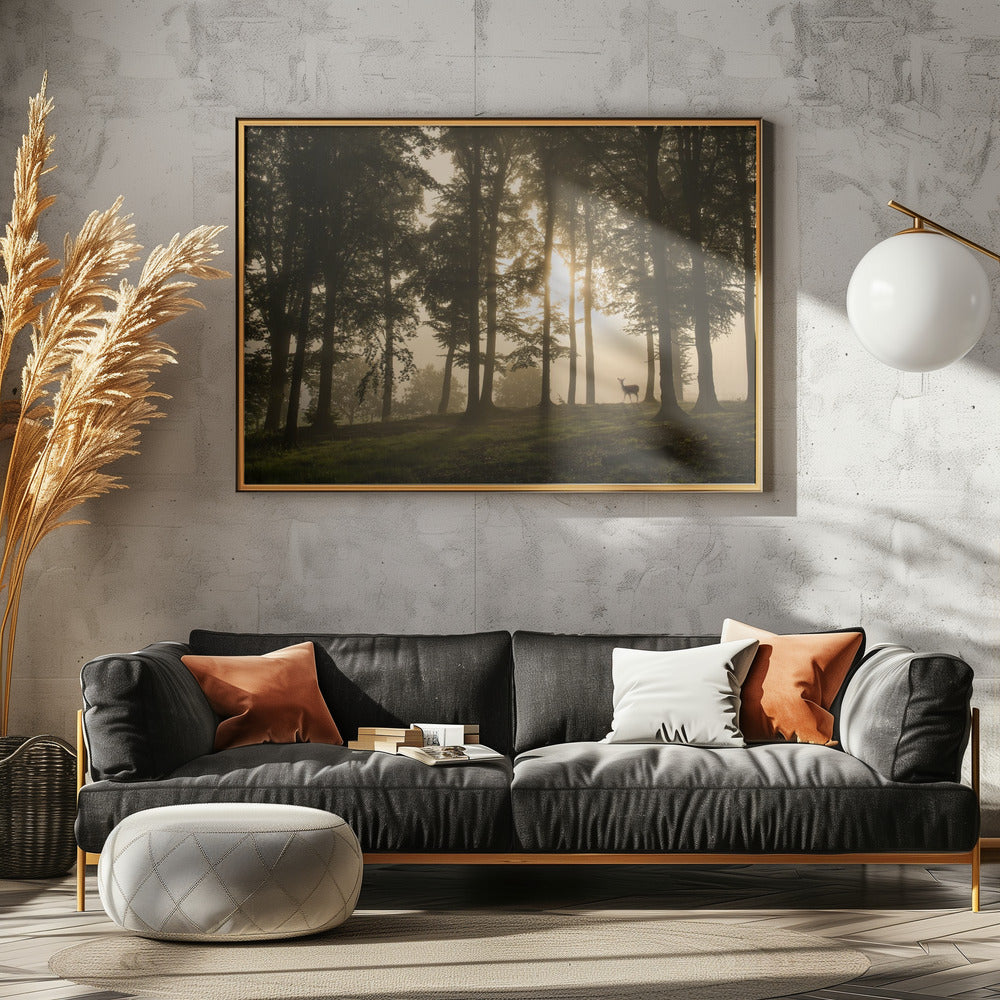 Hert in de ochtendmist. | Poster