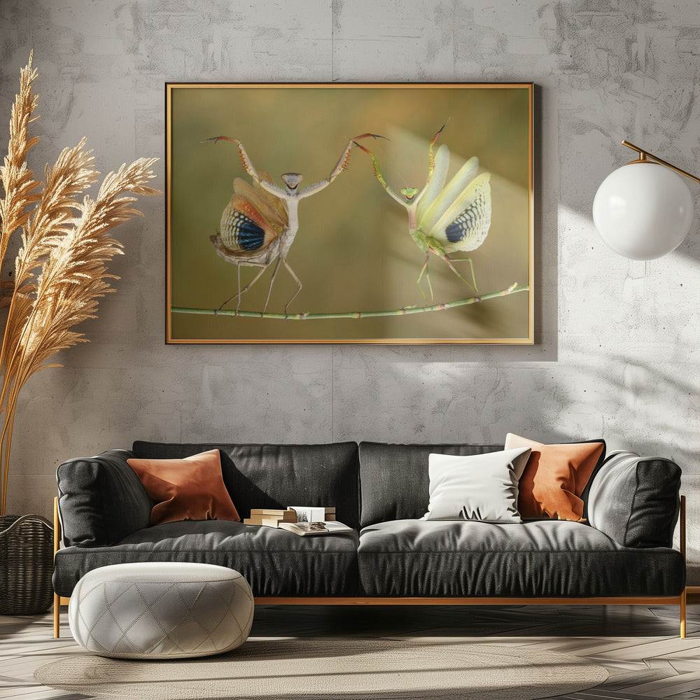 Showtijd | Canvas