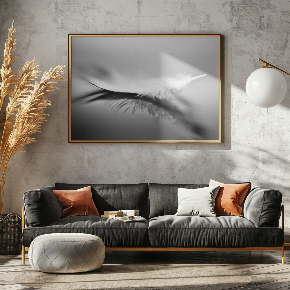 White | Canvas
