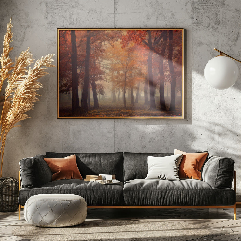 Voel | Canvas