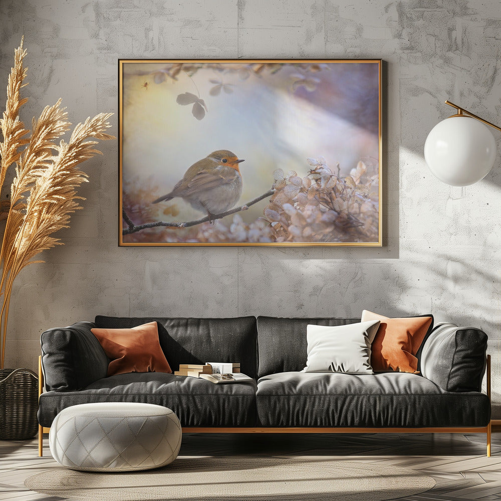 Robin over dromen | Poster