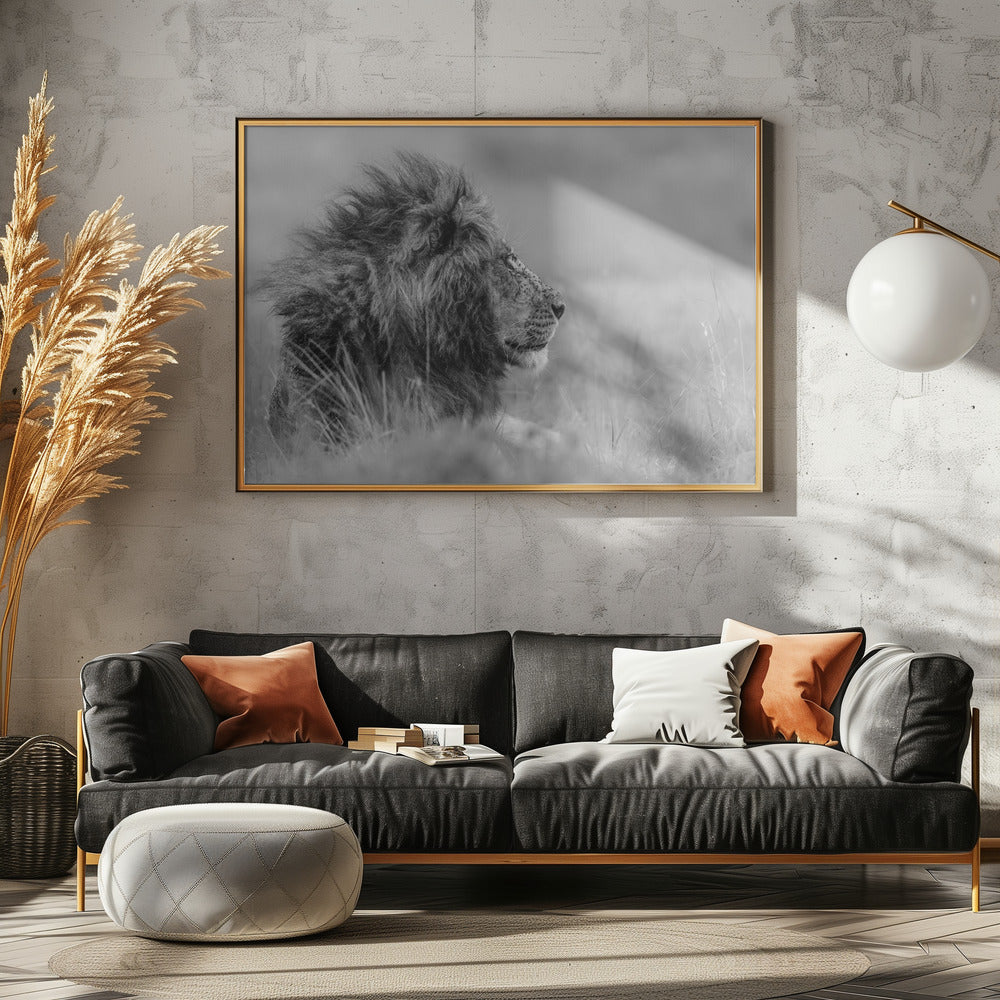 De koning is alleen | Canvas