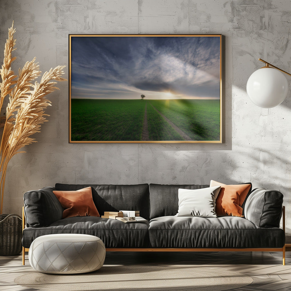 eenling in de zon | Poster