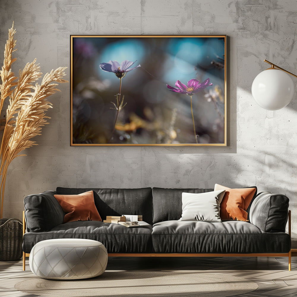 De link | Canvas