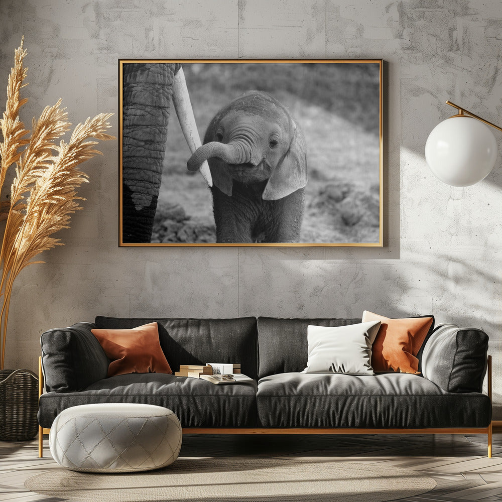 Sluiten | Canvas