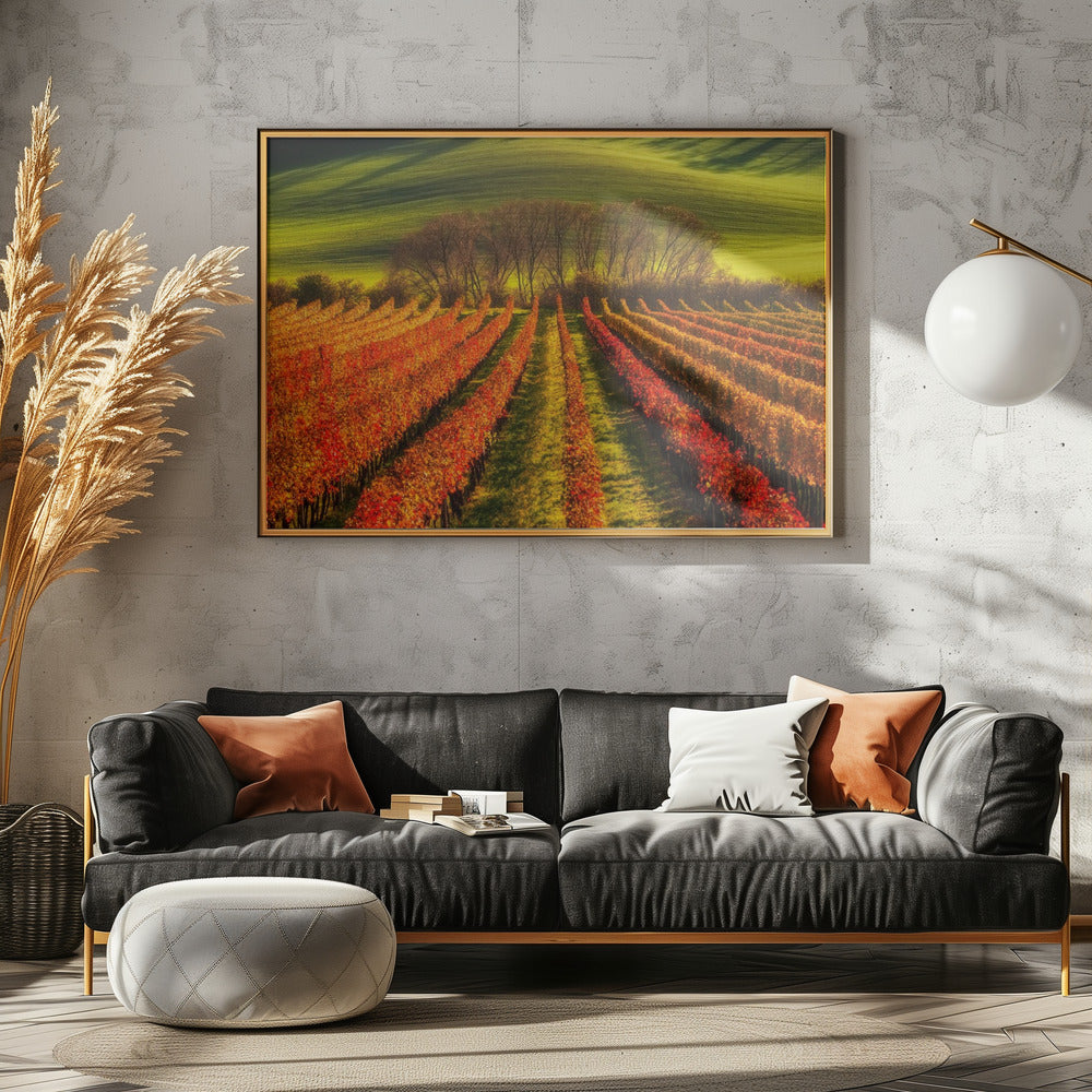 wijnbouw | Poster