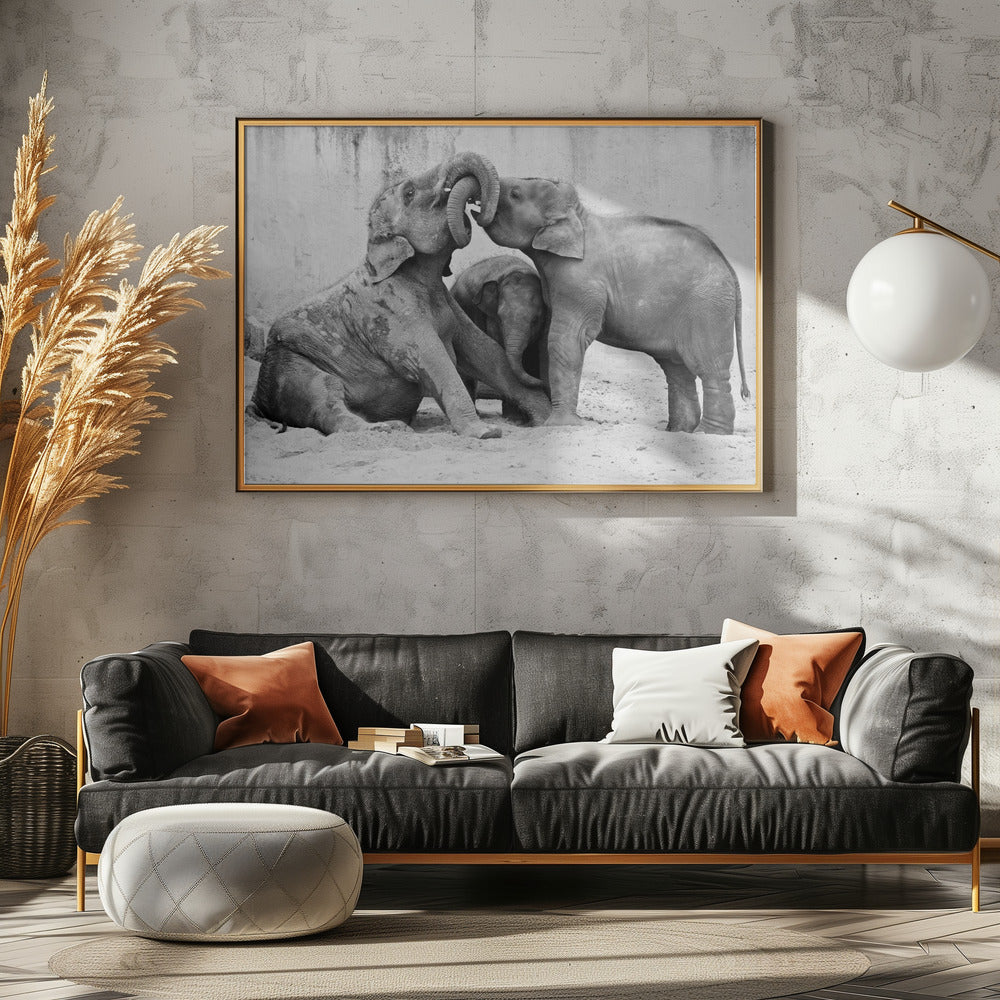 MÉNAGE À TROIS | Canvas