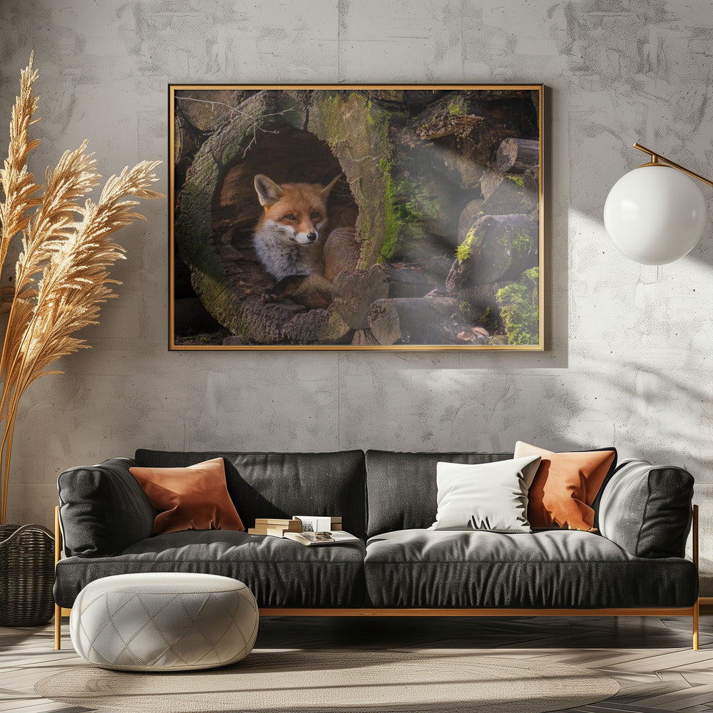 Vos | Canvas