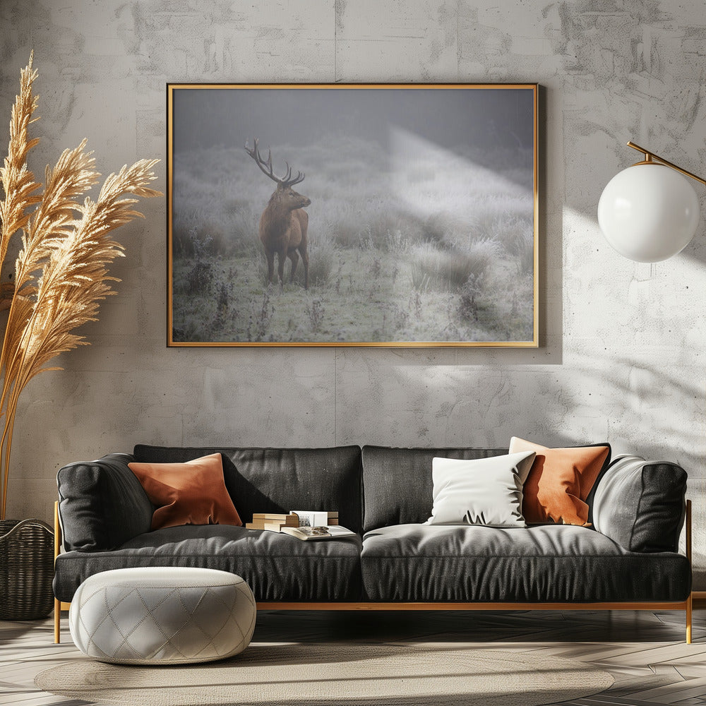 Trots. Hert. | Canvas