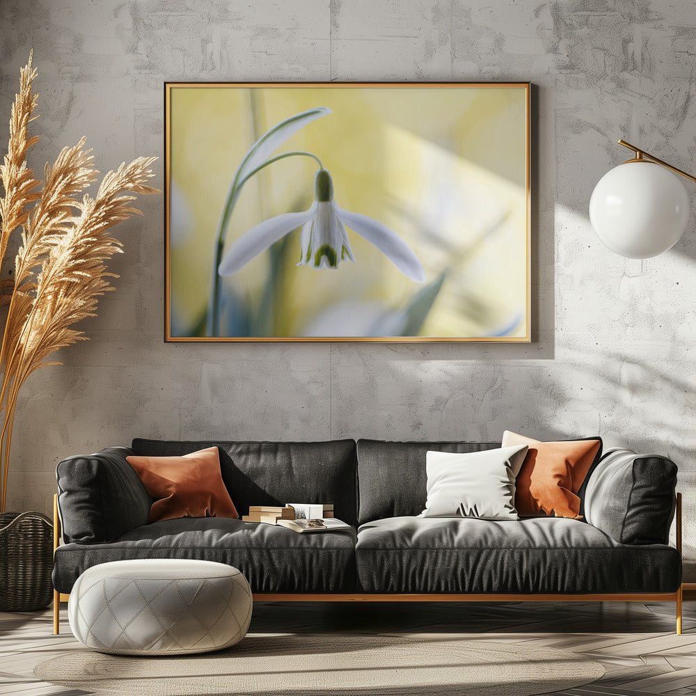Sneeuwklokjes | Canvas