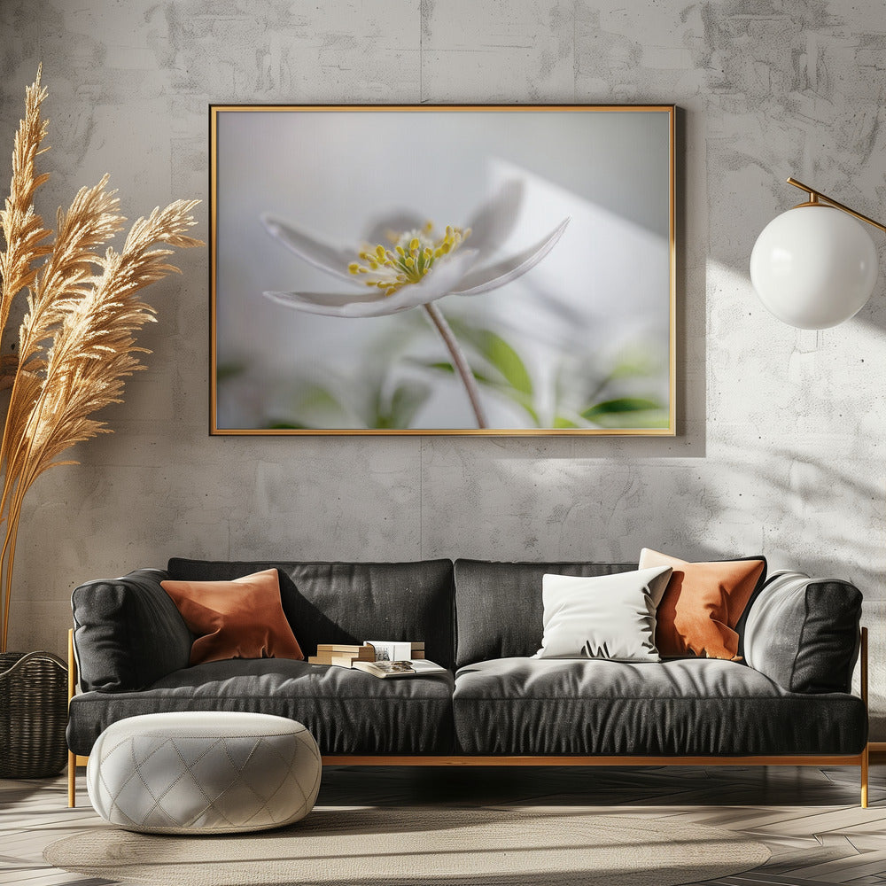 Bosanemoon | Canvas