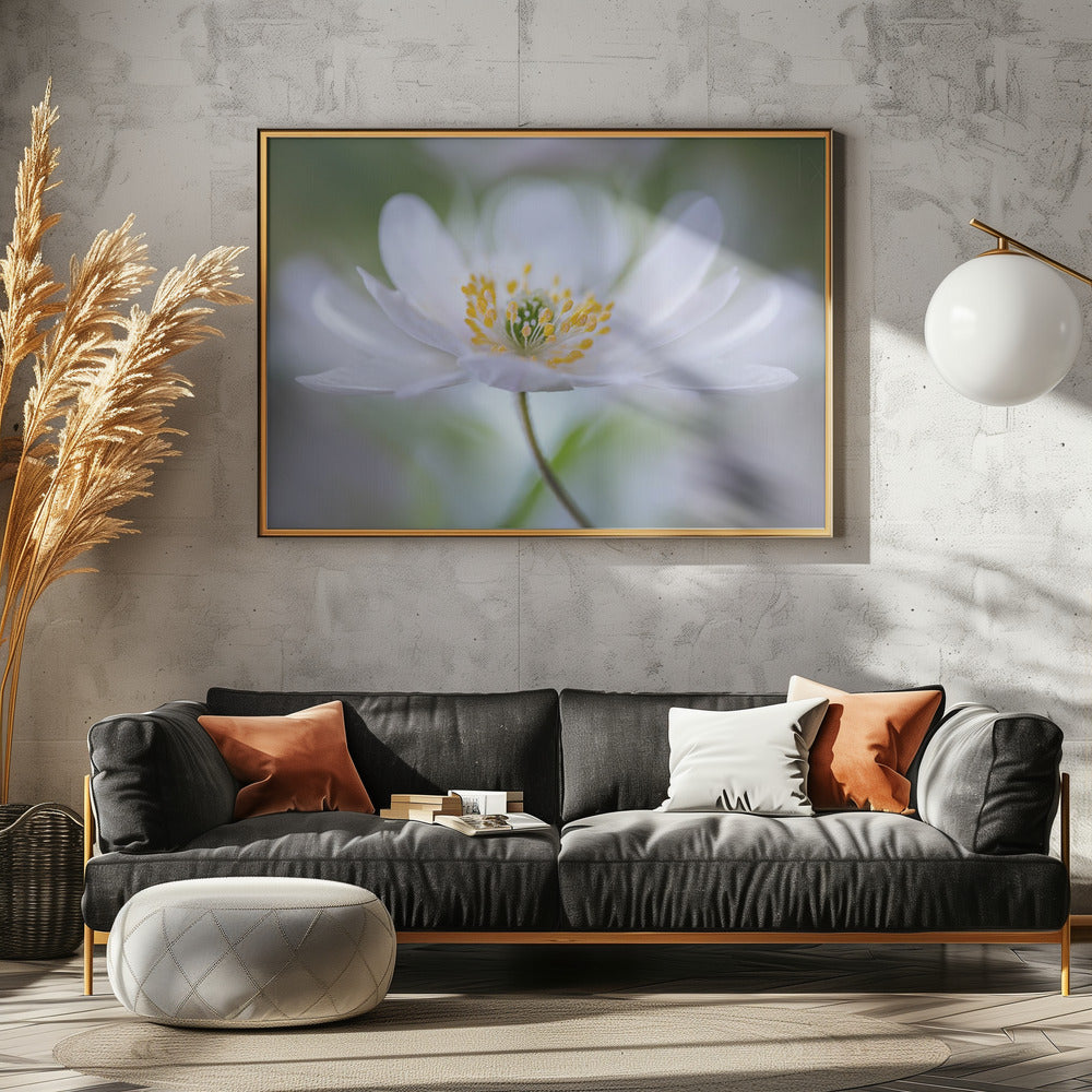 Nemorosa Nirvana | Poster