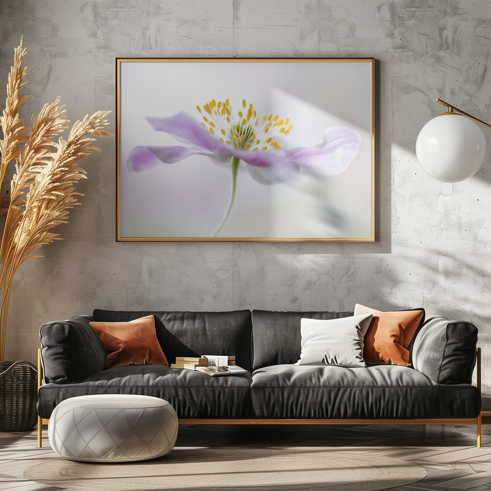Bosanemoon | Canvas