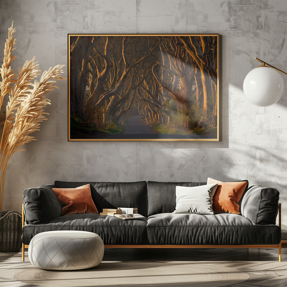 De donkere heggen in de ochtendzon | Canvas