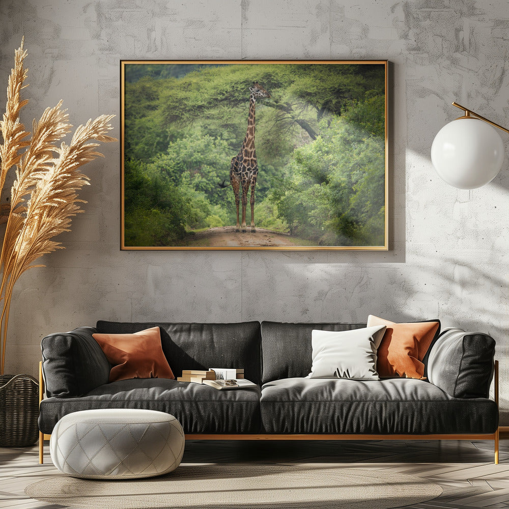 onverwachte ontmoeting | Canvas