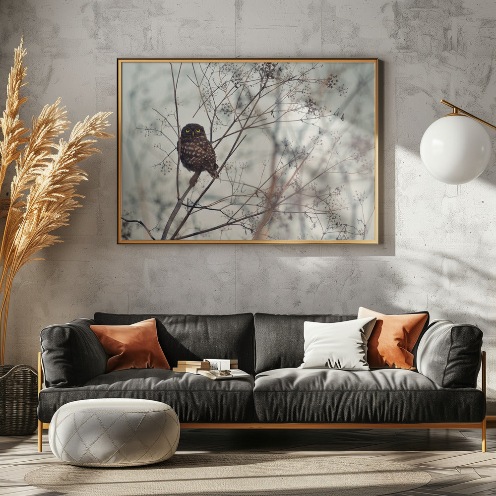 Kijk naar mij! | Canvas