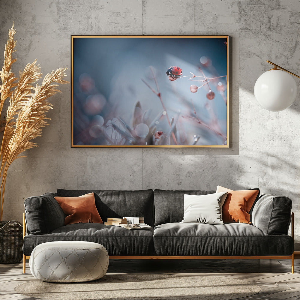 Hoogduiken | Canvas