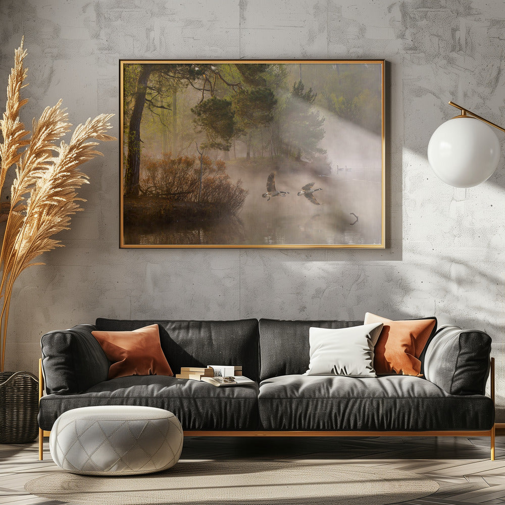 Ganzengevecht | Poster