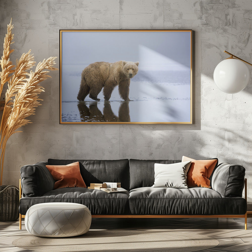 De Berenwandeling | Poster