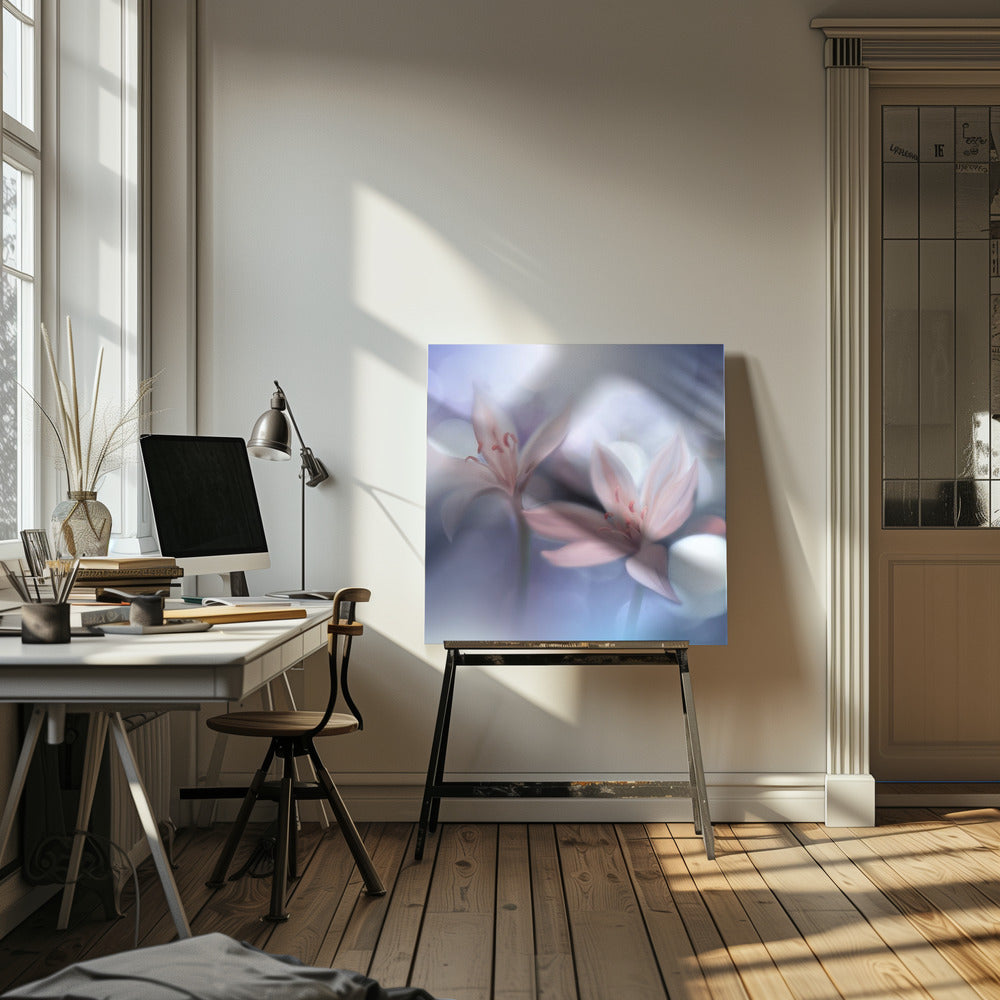 *-* | Canvas