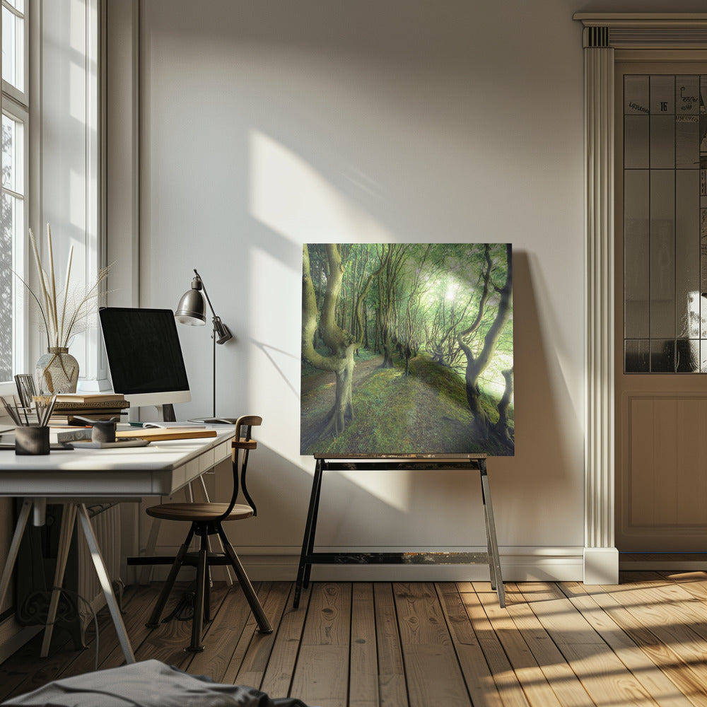 Crazy Lane | Canvas