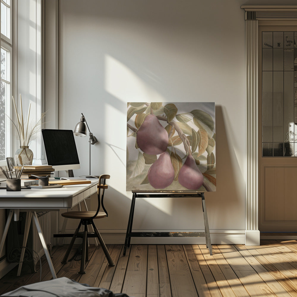 Max Red Bartlett Peren | Canvas