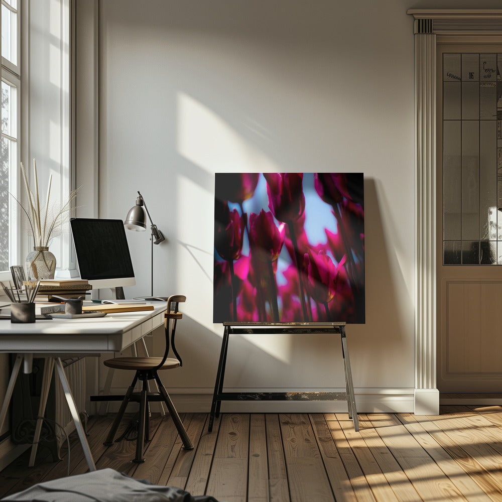 Paarse tulpen | Canvas