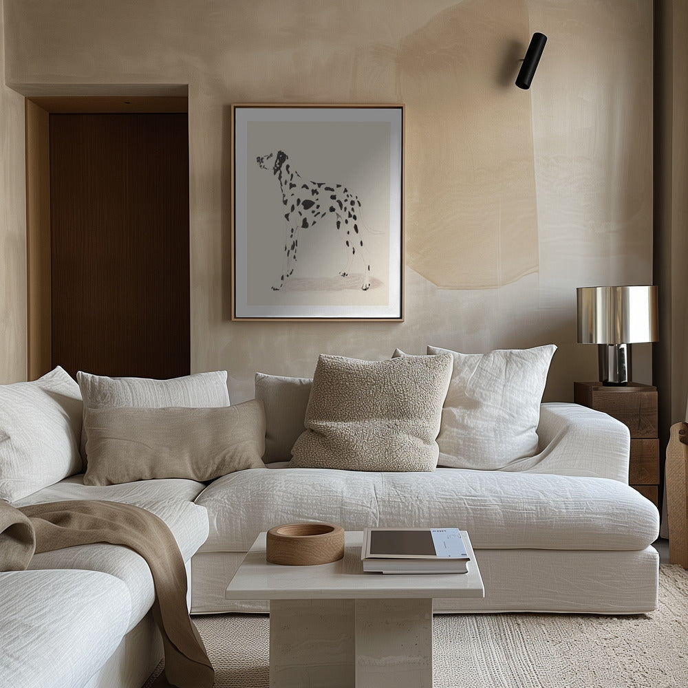 Pandc Dalmatiër | Poster
