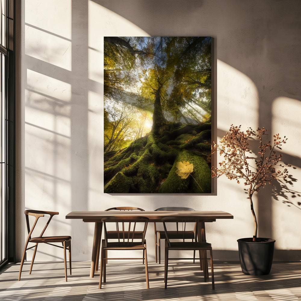 Het afscheid van een blad | Canvas
