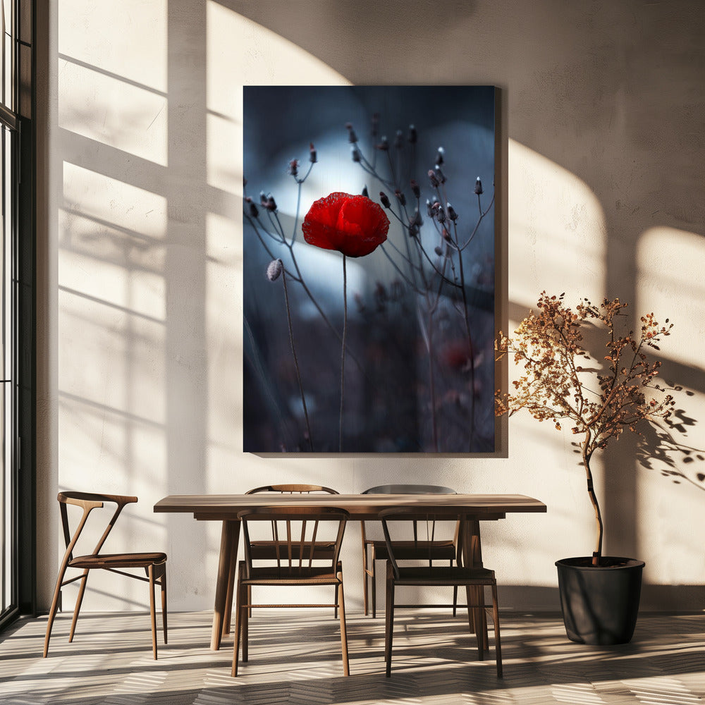 Bloem niet van Kenzo. Van mij | Canvas
