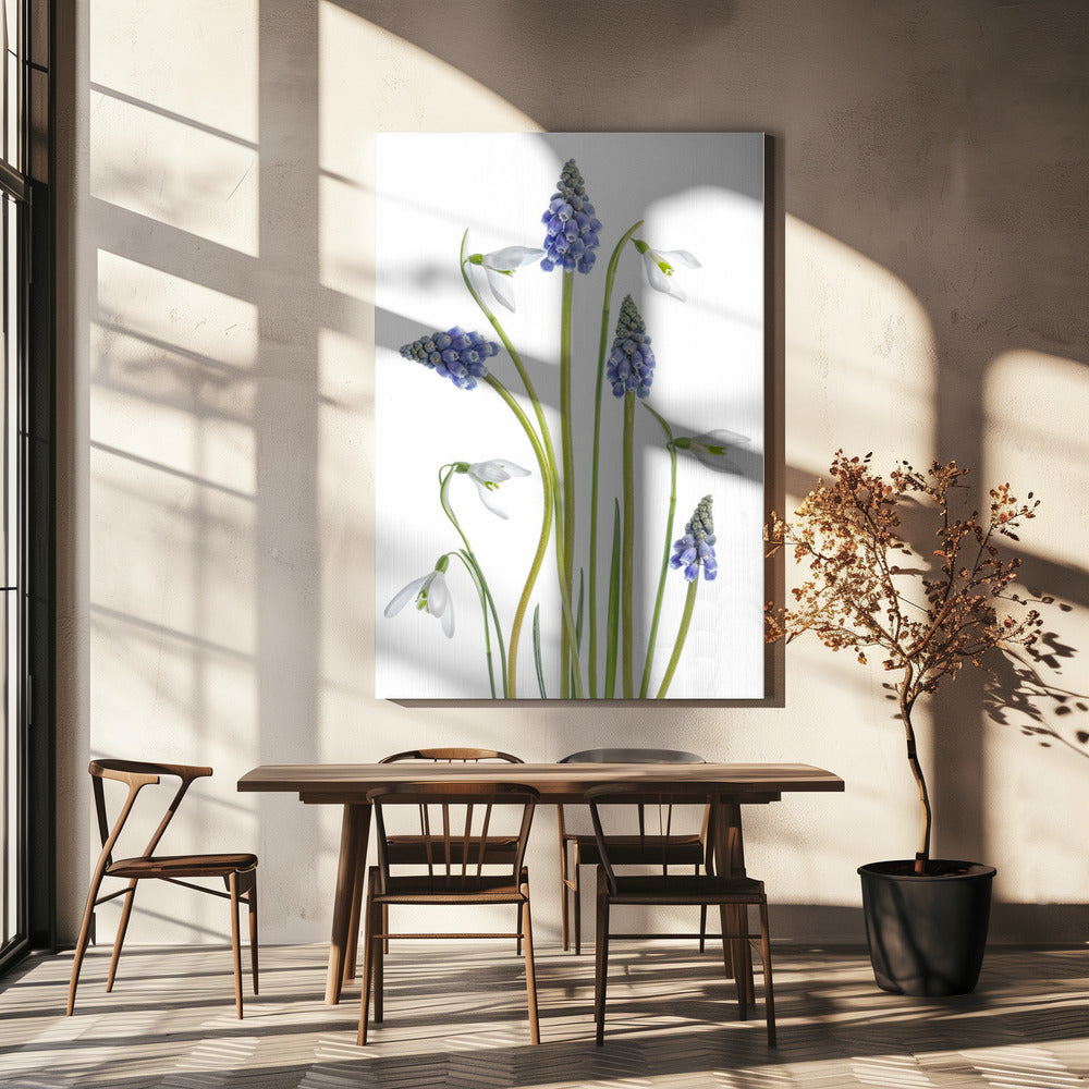 Muscari en Galanthus | Canvas