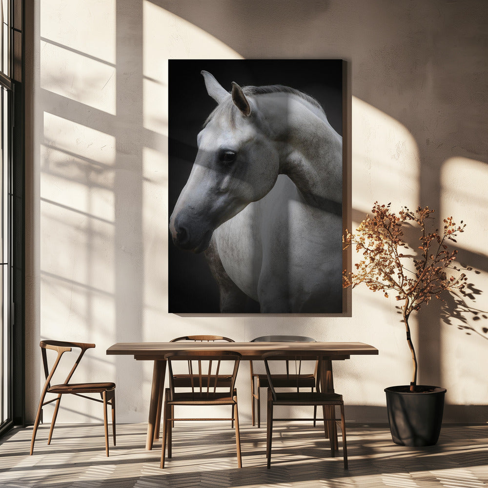 Maggie | Canvas