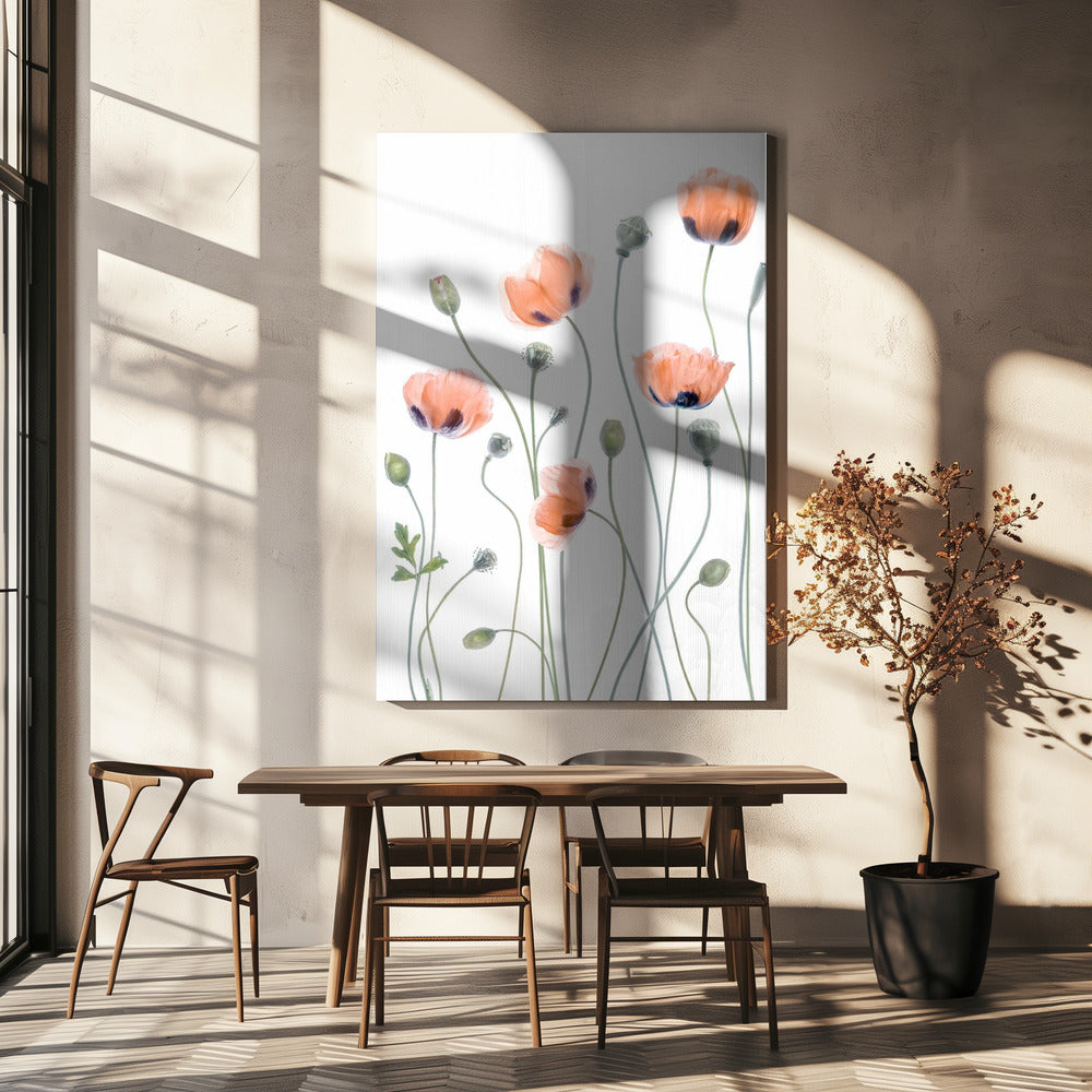 Klaprozen | Canvas