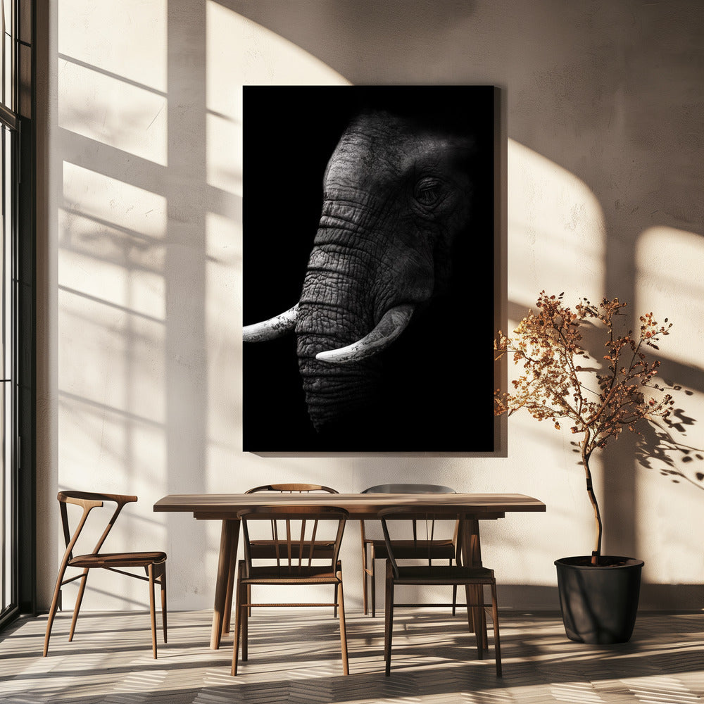 Portret | Canvas