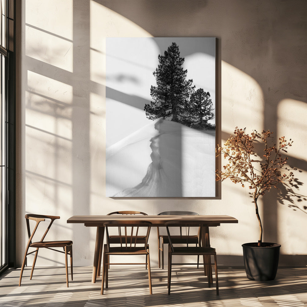 Over sneeuw en vormen | Canvas