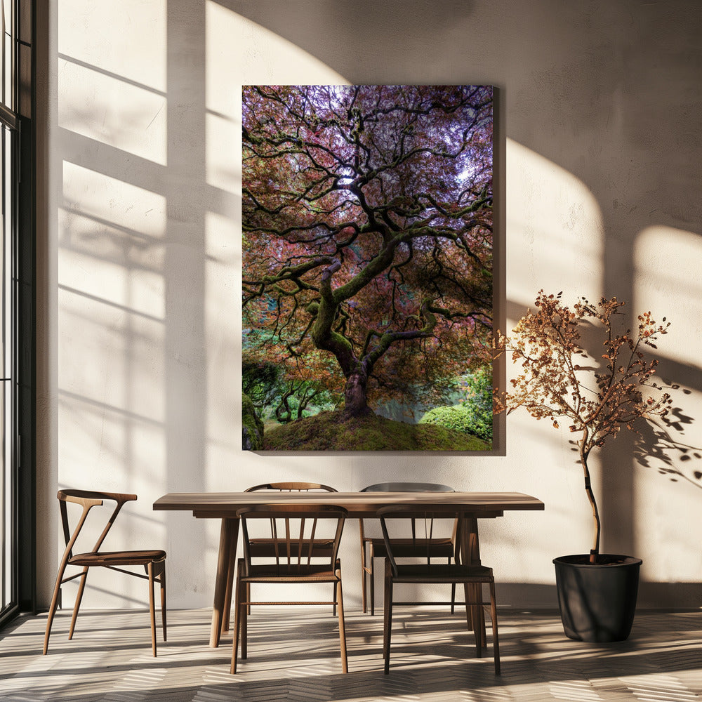 Japanse esdoorn | Canvas