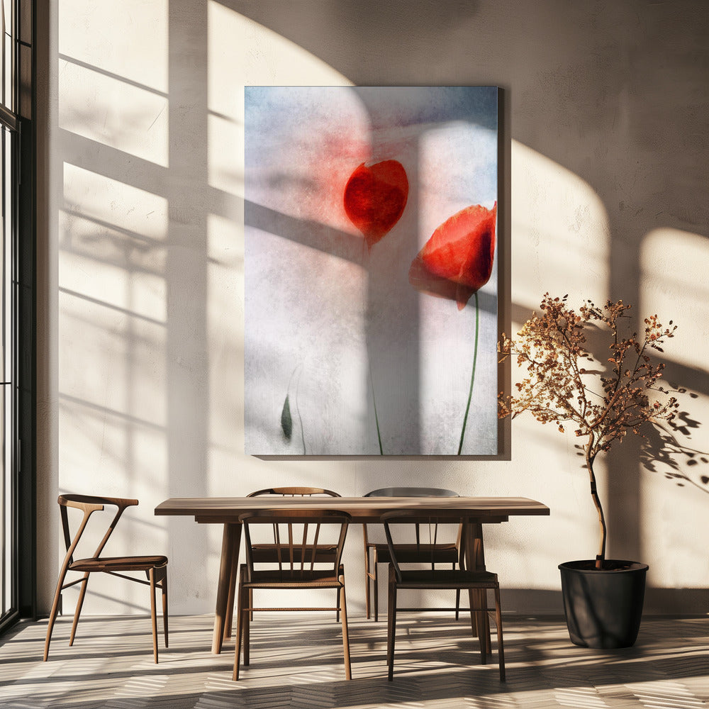 In Vlaanderen Velden | Canvas