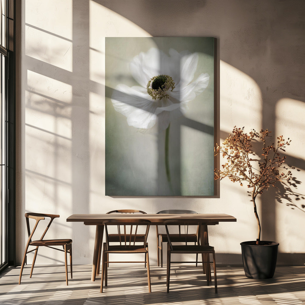 Enkel Wit | Canvas