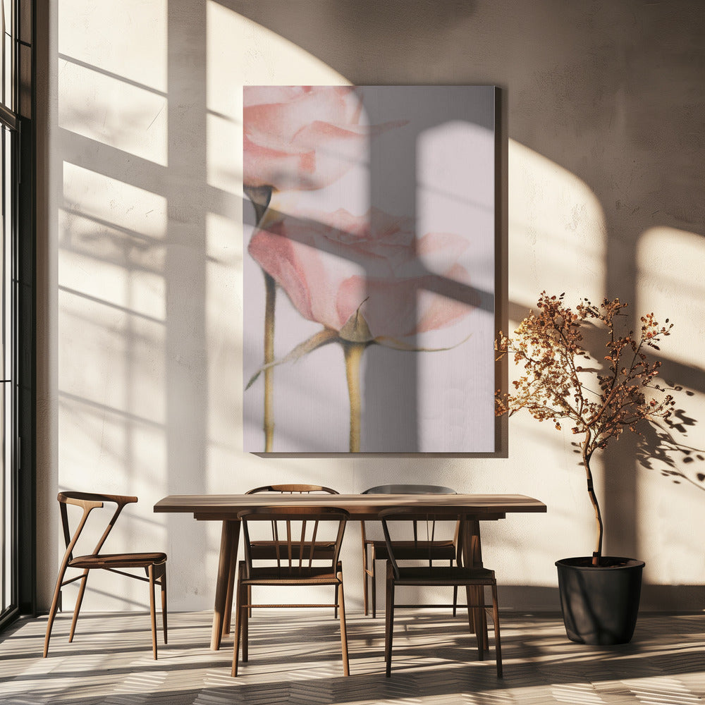 Two Roses | Canvas