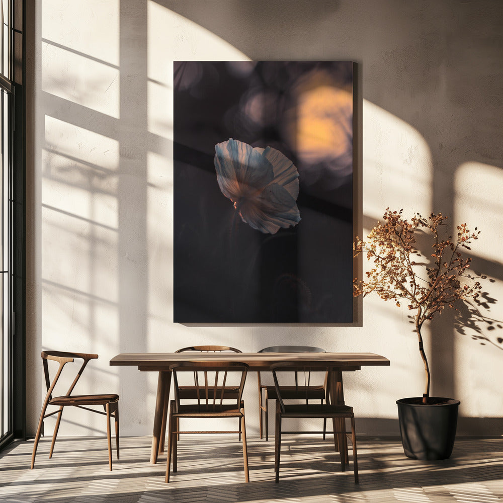 Last Ray | Canvas