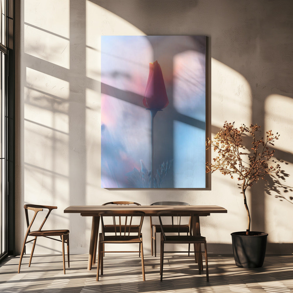Douceur & Volupté | Canvas