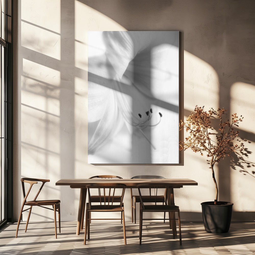 Wit op Wit | Canvas