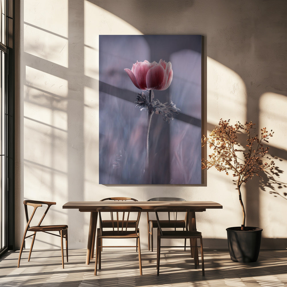 Roze! En dan? | Canvas