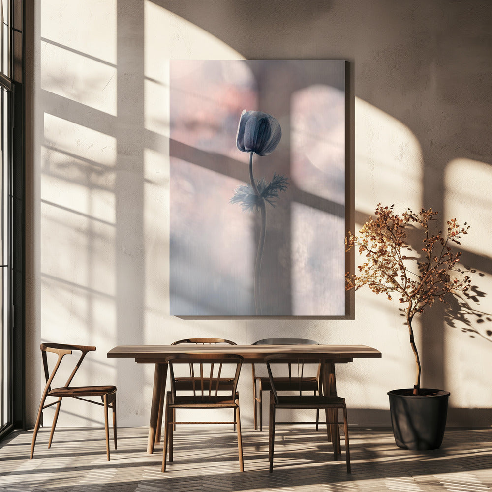 Soliste | Canvas