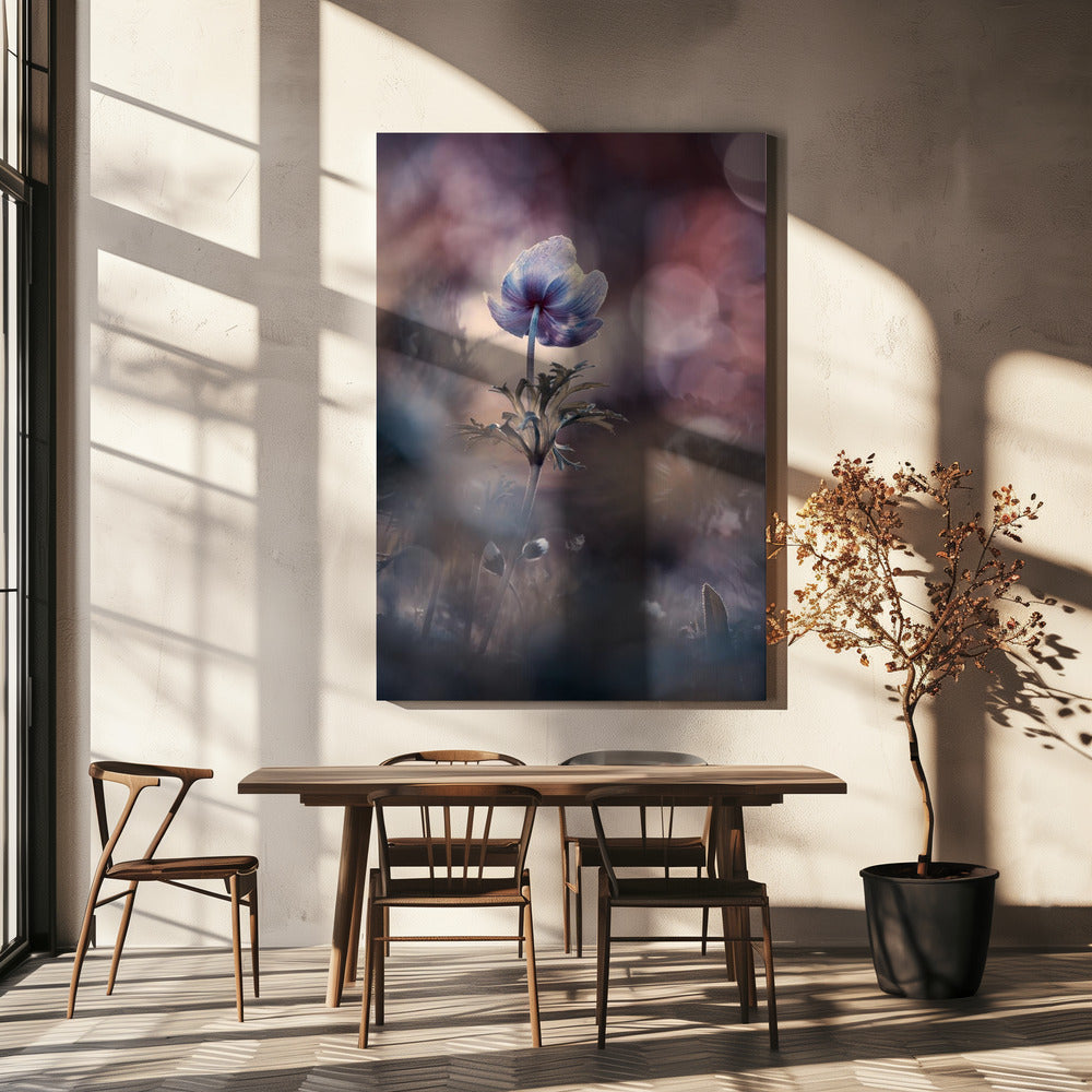 Een betere toekomst | Canvas