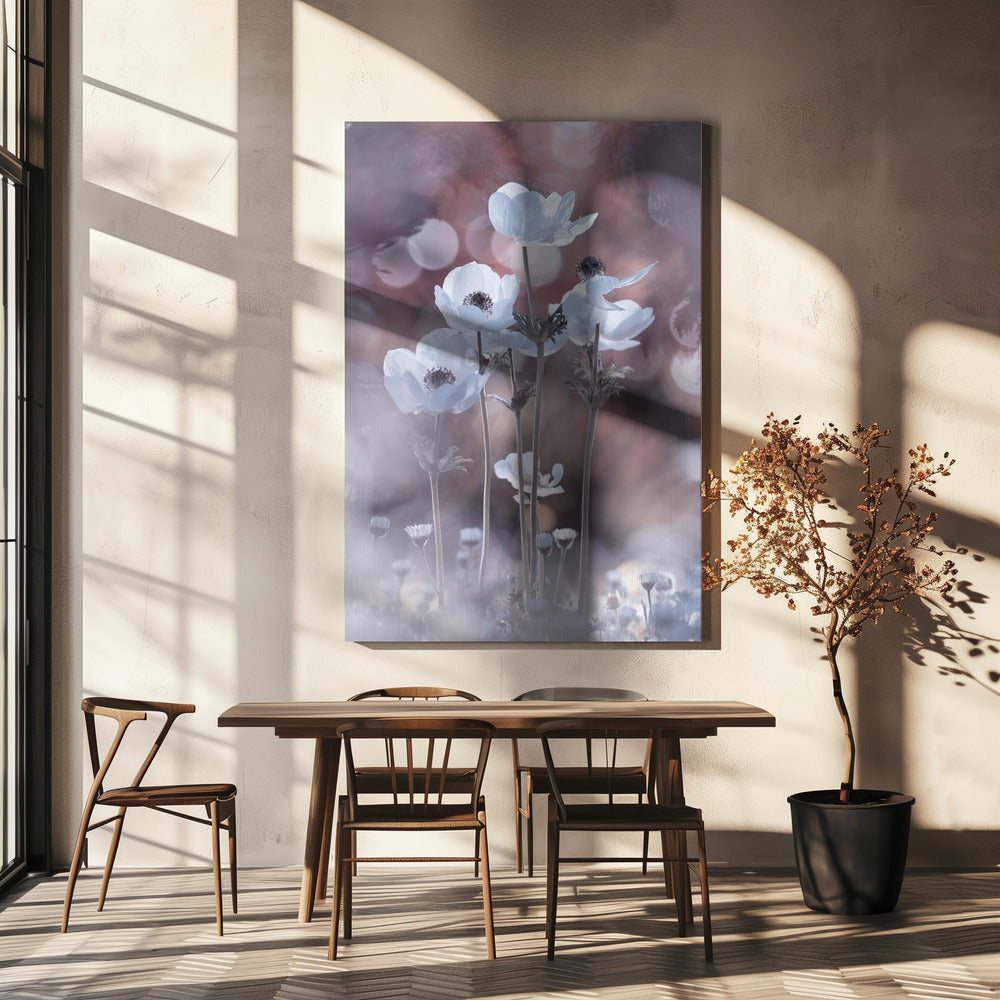 Alle bloemen van alle morgens zitten in de zaden van vandaag | Canvas