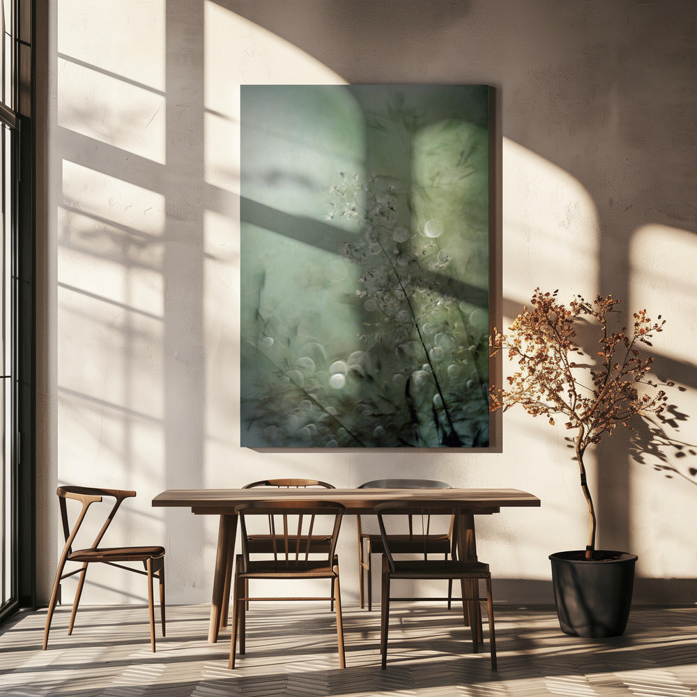 Grasses | Canvas