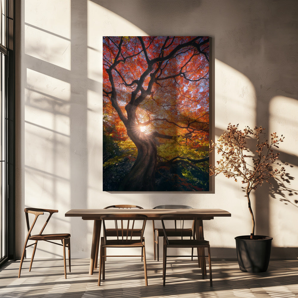 De Japanse boom | Canvas
