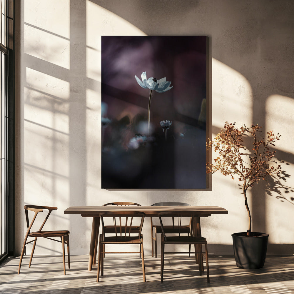 Elles, mes fleurs, émoi | Canvas