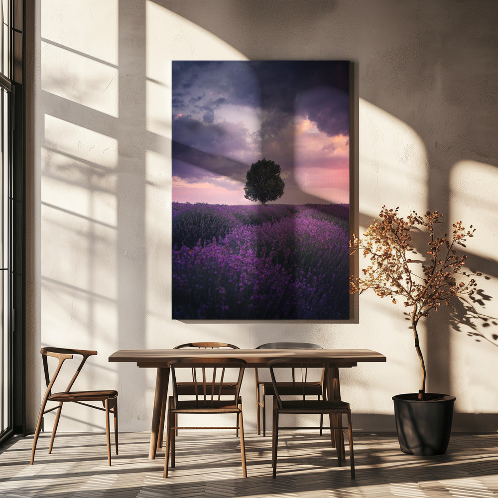 Lavendelvelden, Isparta | Canvas